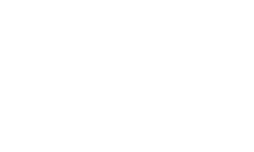 PRIM Prime your business